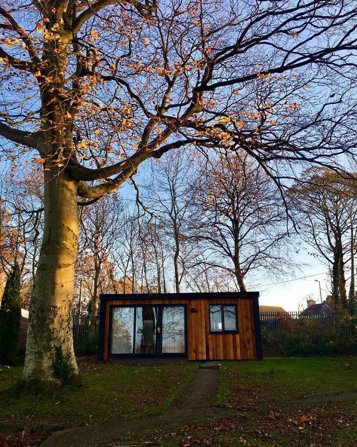 Cozy Snowdonia Chalet Caernarfon Kültér fotó